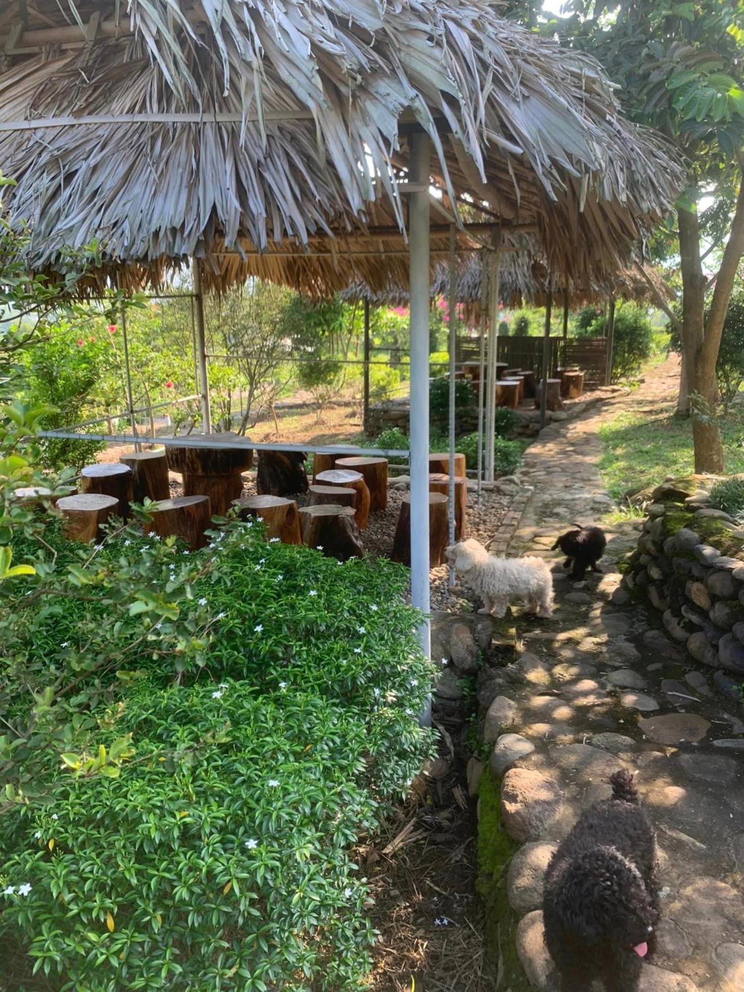Homestay Nha Cua Mi - Mi'S House Yen Bai Екстер'єр фото