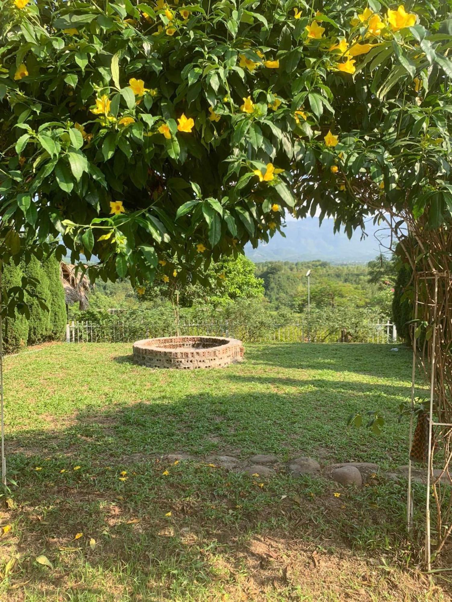 Homestay Nha Cua Mi - Mi'S House Yen Bai Екстер'єр фото
