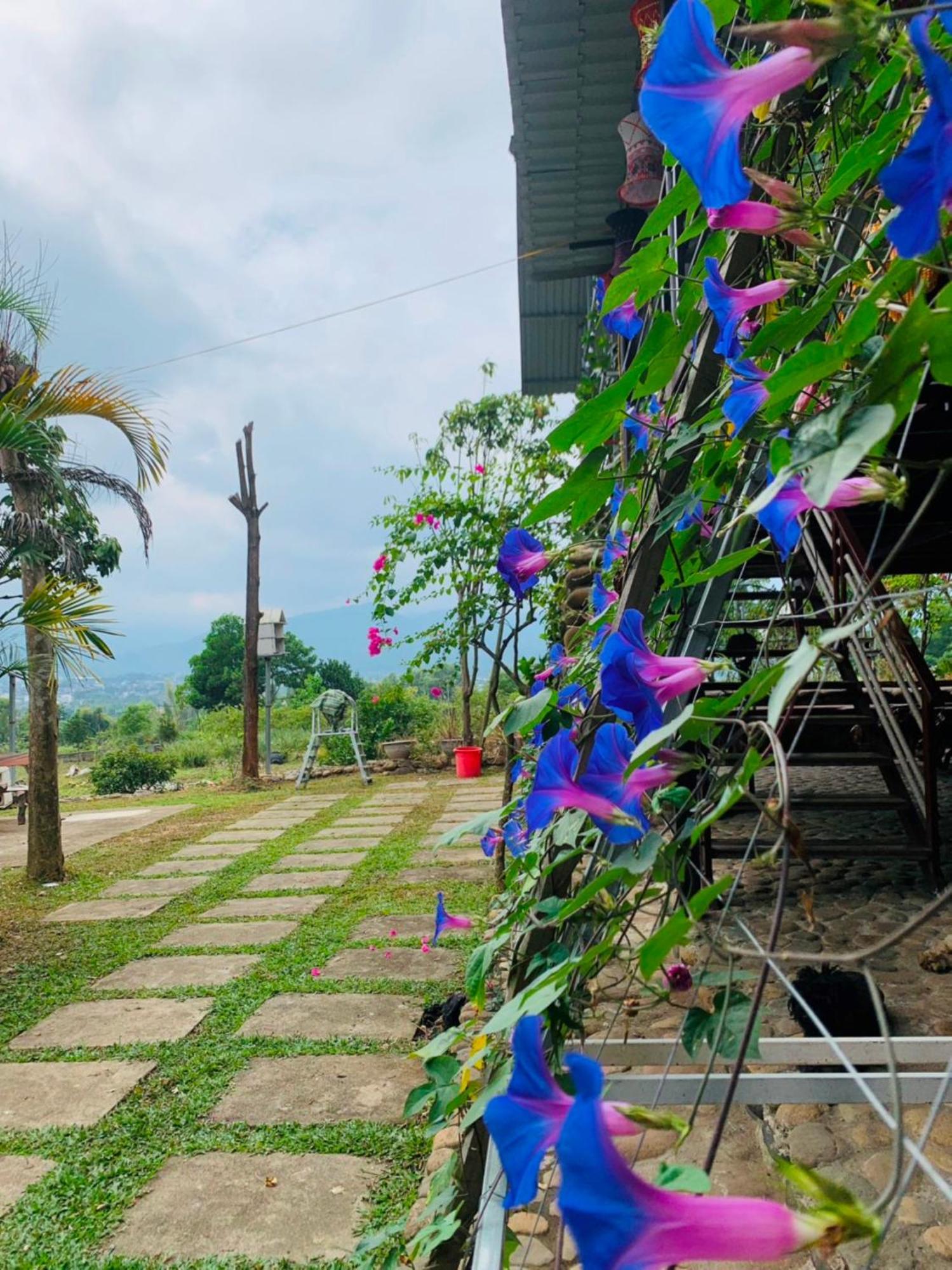 Homestay Nha Cua Mi - Mi'S House Yen Bai Екстер'єр фото